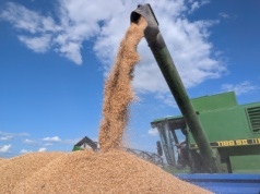 Import z Ukrainy niszczy rolnictwo, ale KE “bierze to pod uwagę”