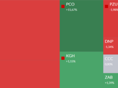 Mapa GPW: Pepco, Pekao, PZU, Azoty i PCF w centrum uwagi
