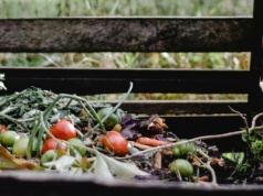 Zamiast na talerz, wrzuć do kompostownika. Przyciągniesz dżdżownice