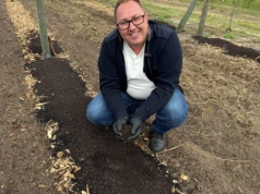 Zakładanie plantacji borówki – jak przygotować stanowisko?