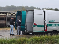 Zatrzymano 11 Kolumbijczyków