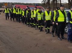 Poszukiwania grzybiarza