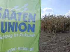 Odmiany kukurydzy Saaten Union 2026 – nowe propozycje zaprezentowane w Strykowie