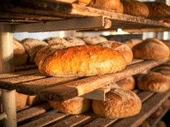 Tak Polacy "jedzą" pieczywo. Wyrzucamy średnio 184 bochenki chleba na sekundę. Tyle nas to kosztuje