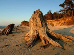 Polacy pokochali to miejsce nad morzem. Przyznali mu ważny tytuł