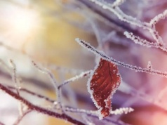 Arktyczne powietrze nadciąga nad Polskę. Temperatury spadną poniżej zera!