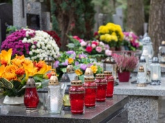 Od kilku lat wybieram zamiast chryzantem. Niestraszne przymrozki czy wiatr