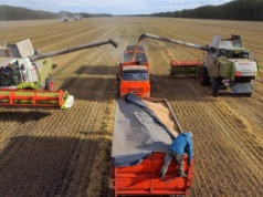 Cała prawda o "spichlerzu świata". Walka o przetrwanie. Ceny gruntów gwałtownie w górę