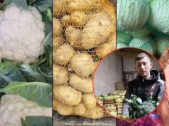 Serwery padły, telefony się urywały. Polacy ruszyli po warzywa i owoce prosto od rolnika