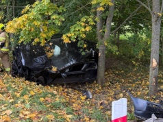 Samochód wypadł z drogi i wbił się między drzewa