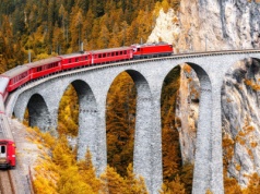 Niezwykły popis braku kultury w szwajcarskim pociągu. "Nagrali małpę"