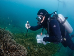 Ziemia przekroczyła pierwszy klimatyczny punkt krytyczny. Eksperci biją na alarm