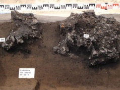 Ustalenia badaczy ze stanowiska w Zaborowie przesuwają początki mazowieckiego hutnictwa o całe stulecie