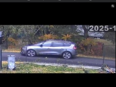 Puściła kota samopas pod koła i szuka winnego w internecie. Absurd w Szklarskiej Porębie