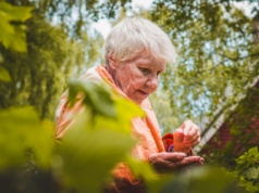 Renta wdowia nie dla wszystkich. Seniorzy czują się oszukani