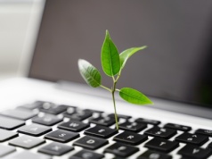 Biznes wobec zrównoważonego rozwoju: między deklaracją a działaniem