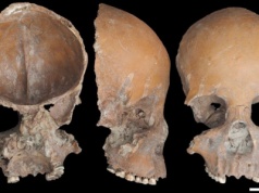 Kubki i maski z czaszek. Ludzkie kości były materiałem, jak każdy inny