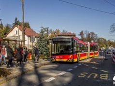Bezpłatna komunikacja miejska w Bielsku-Białej w dniu Wszystkich Świętych