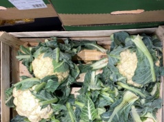 Rolnik sprzedaje plony prosto z pola. "Ludzie się zjednoczyli"