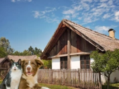 ARiMR poprowadzi rejestr psów i kotów. Co to oznacza dla rolników?