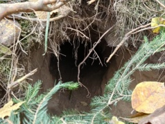 SG odkryła tunel przy polsko-białoruskiej granicy!