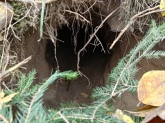 Straż Graniczna odkryła tunel przy polsko-białoruskiej granicy