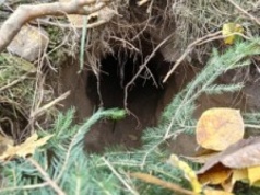 Podziemny tunel odkryty w pobliżu granicy z Białorusią