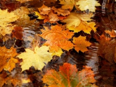 Prognoza pogody na tydzień 17.10 – 23.10.2025