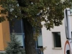 Unia Europejska broni się przed Rosją. Wcisło: Polska bardzo na tym zyska