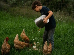 Marzy ci się samowystarczalność? Oto ile przestrzeni potrzebujesz