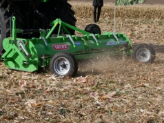 To idealny moment, by zatrzymać omacnicę. Skuteczne metody po żniwach kukurydzy