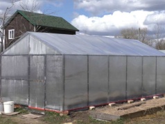 Zdezynfekuj glebę w szklarni tym sposobem. Wiosną będzie jak nowo narodzona