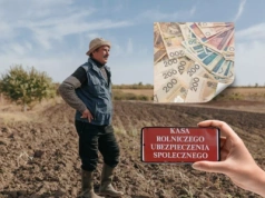 Jak dostać wyższą emeryturę z KRUS i ZUS? Rolnicy często o tym nie wiedzą