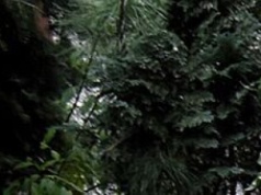 Rymarska po metamorfozie. Kolejne ulice czekają na podobną zmianę