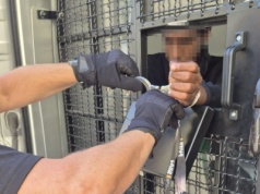 Dziesięcioletni wilczy bilet dla Gruzina