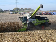 W niedzielę odbędzie się pokaz zbioru kukurydzy i uprawy roli 