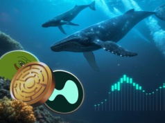 Po największym krachu kryptowalut, dane on-chain ujawniają, które altcoiny kupują wieloryby