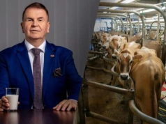 30 gr dopłaty do mleka? Prezes Mlekovity: Polska tonie w mleku