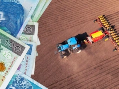 Podatek rolny 2026: rolnicy zapłacą mniej. GUS ogłosił nową cenę żyta