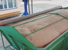 Rynek zbóż w kryzysie: "Zostaliśmy postawieni pod ścianą za błędy instytucji publicznych!"