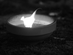 Nie żyje gwiador kultowego filmu. Wszyscy kochaliśmy jego rolę