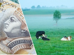 Do wzięcia 234 ha od KOWR. Zaskakująco niski czynsz, jednak jest pewne „ale”