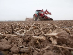 Jak poprawić żyzność gleby?