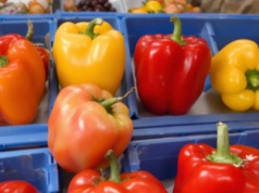 Czas samozbiorów. "Gazeta Polska" alarmuje: rząd zostawił rolników