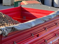 Orka zimowa, wiosenna, a może bezorka? Trzy rolnicze podejścia  do uprawy ziemniaka