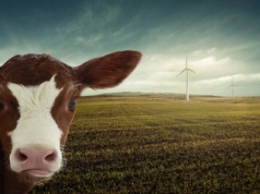 Gospodarcze samobójstwo UE. Wkrótce „cła klimatyczne” na import z krajów trzeciego świata