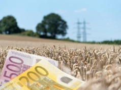 Uczciwi rolnicy ponoszą konsekwencje działań oszustów. Dopłaty wstrzymane