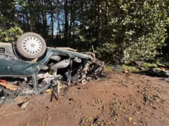 Koszmarny wypadek na Dolnym Śląsku. Pijany kierowca uderzył w drzewo