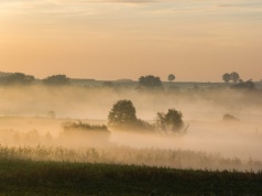 Ostrzeżenie dla woj. lubelskiego o gęstych mgłach