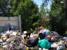 Miliony euro trafiają na śmietnik. W kraju wrze. "Nic się nie zmieni"